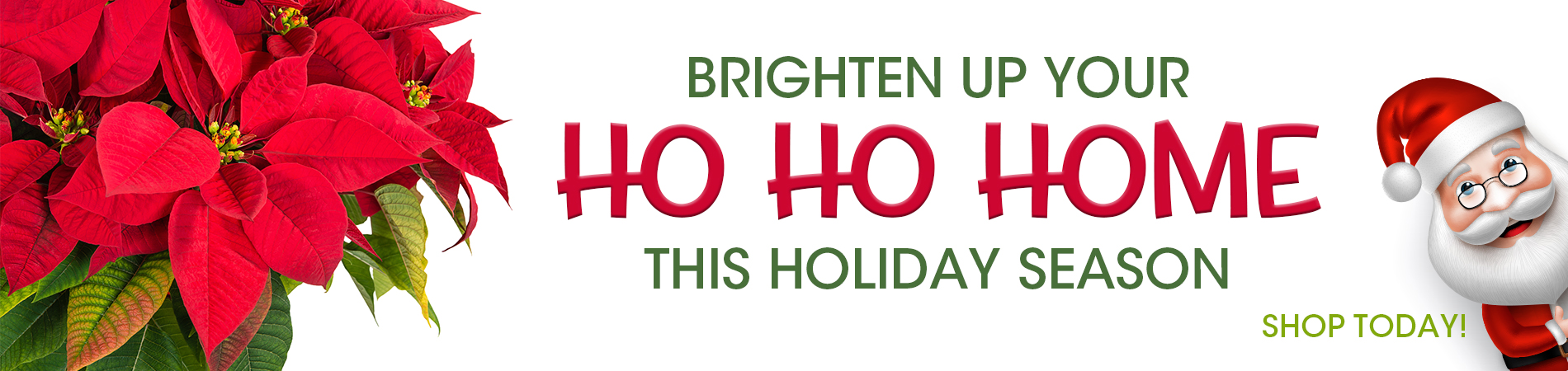 1900x450-Holidays2022-3